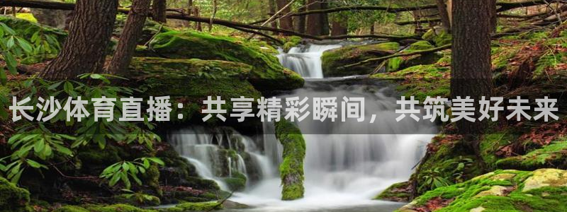 长沙体育直播：共享精彩瞬间，共筑美好未来