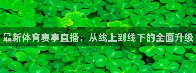 最新体育赛事直播：从线上到线下的全面升级