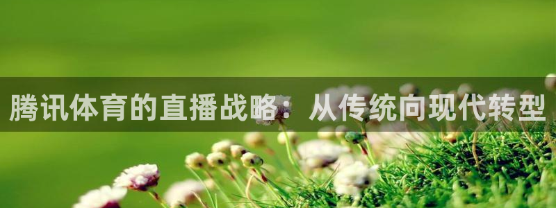 腾讯体育的直播战略：从传统向现代转型